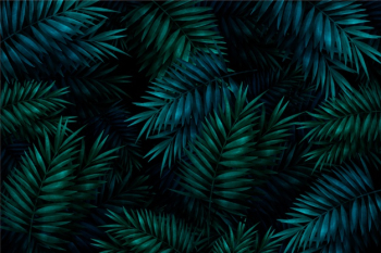 Realistic colourful tropical leaves background Free Vector Realistic colourful tropical leaves background Free Vector