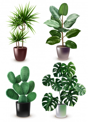 Realistic houseplant icon set Free Vector Realistic houseplant icon set Free Vector