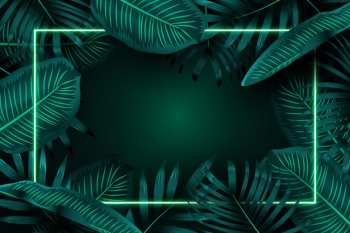 Realistic leaves with green neon frame Free Vector Realistic leaves with green neon frame Free Vector