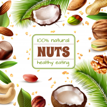 Realistic nuts frame Free Vector Realistic nuts frame Free Vector