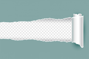 Realistic torn ripped paper with rolled edges Free Vector Realistic torn ripped paper with rolled edges Free Vector