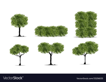 realistic tree on white background eps10