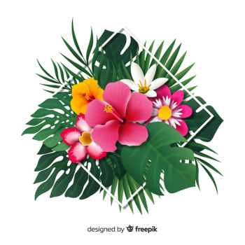 Realistic tropical flowers and leaves Free Vector Realistic tropical flowers and leaves Free Vector