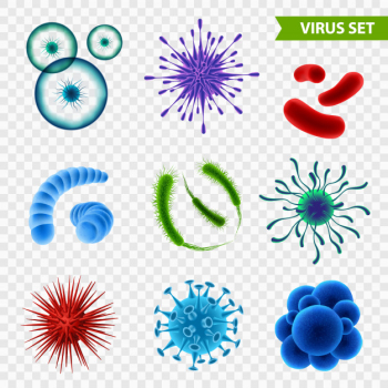 Realistic virus cells pack Free Vector Realistic virus cells pack Free Vector