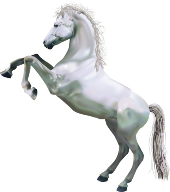 Rearing Horse.  A photorealistic illustration of a horse rearing up on its hind legs. Created with meshes.