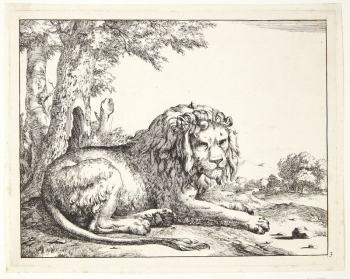 Reclining lion facing right by Marcus | Free Photo - rawpixel Reclining lion facing right by Marcus | Free Photo - rawpixel