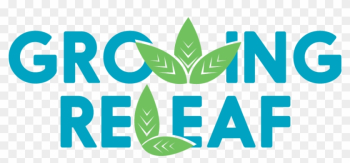 Recreational & Medical Marijuana Dispensaries Near - Mug Recreational & Medical Marijuana Dispensaries Near - Mug