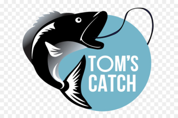Recreational fishing Jigging Pesca d'altura Recreational boat fishing - charter de pesca 