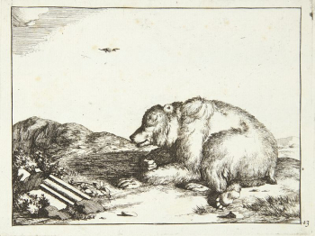 Recumbent bear, facing left by Marcus | Free Photo - rawpixel Recumbent bear, facing left by Marcus | Free Photo - rawpixel