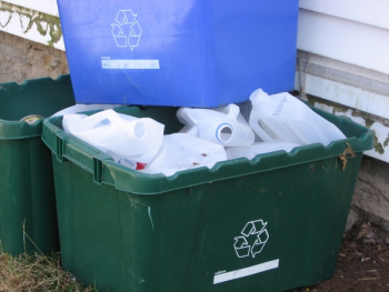recycling-bins.jpg recycling-bins.jpg