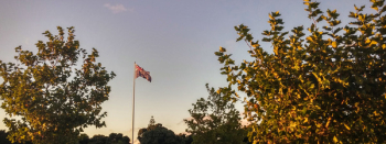 Red And Blue Flag Red And Blue Flag