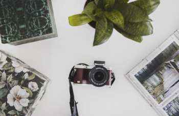 Red and White Bridge Camera and Green Snake Plant