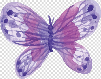 Red and white butterfly , Butterfly Watercolor painting, Watercolor Purple Butterfly transparent background PNG clipart