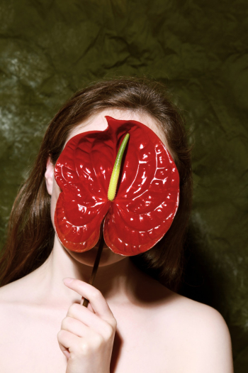 Red Anthurium Leaf