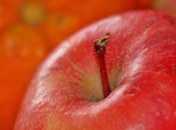 Red Apple Red Apple