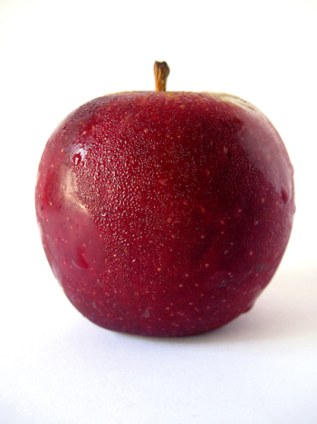 Red_Apple_3459 (7).JPG Red_Apple_3459 (7).JPG