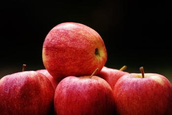 Red Apple Fruit Red Apple Fruit