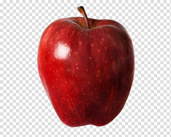 Red apple fruit, Apple Red Delicious Honeycrisp Orchard, red apple transparent background PNG clipart