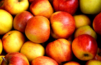 Red Apple Fruits Red Apple Fruits