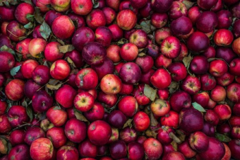 red apple lot red apple lot