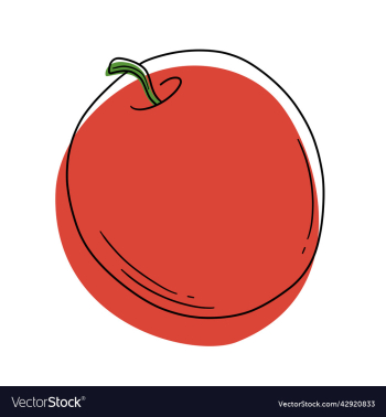 red apple stylized fruits red apple stylized fruits