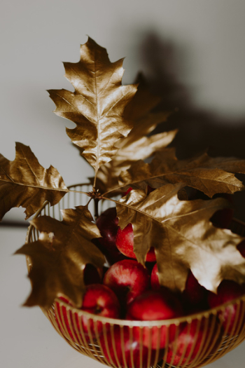 Red apples and golden oak leaves Red apples and golden oak leaves