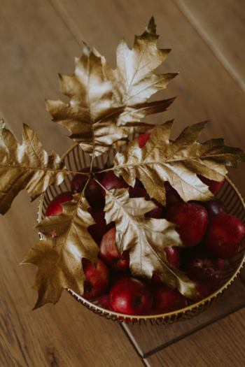 Red apples and golden oak leaves Red apples and golden oak leaves