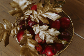 Red apples and golden oak leaves Red apples and golden oak leaves