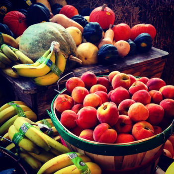 Red Apples in Brown Wooden Bucket Red Apples in Brown Wooden Bucket
