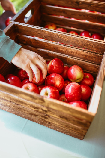 Red Apples on Wooden Crates Red Apples on Wooden Crates