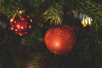 Red Bauble on Christmas Tree Red Bauble on Christmas Tree