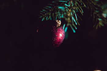 Red Bauble on Christmas Tree Red Bauble on Christmas Tree