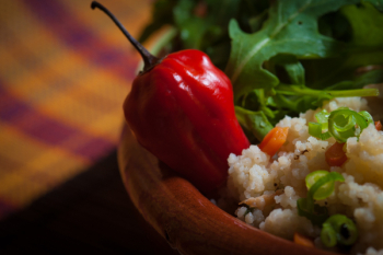 Red Bell Pepper Red Bell Pepper