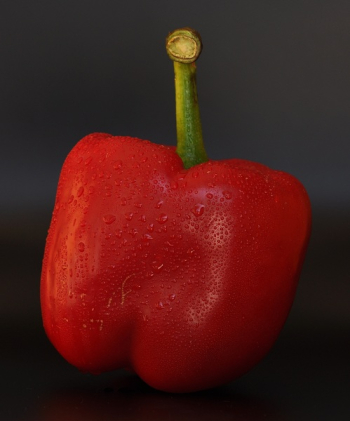 Red Bell Pepper Red Bell Pepper