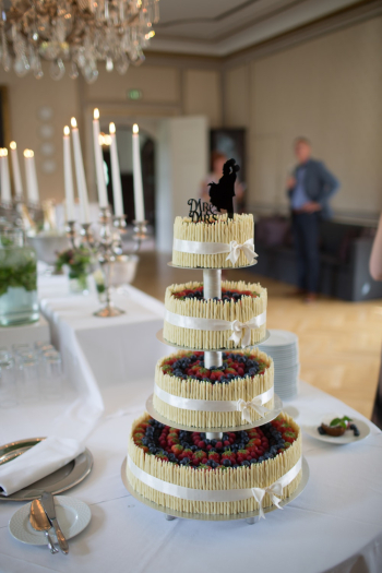 Red Berries Cake Red Berries Cake