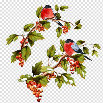 Red birds on red fruit tree illustration, Illustration, Flowers and birds do not pull the transparent background PNG clipart