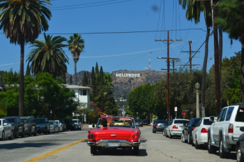 Red Car on the Road Red Car on the Road