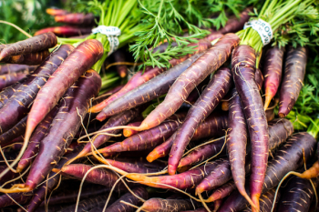 Red carrots at farmers market Red carrots at farmers market