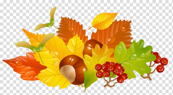 Red cherries graphics art, Autumn leaf color , Fall Leaves and Chestnuts transparent background PNG clipart