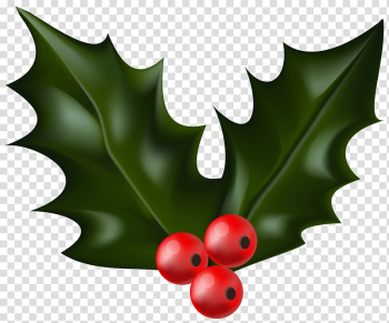 Red cherries illustration, Christmas , Christmas Holly Mistletoe transparent background PNG clipart