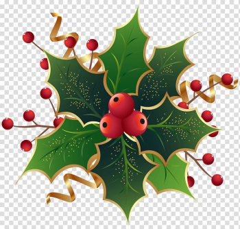 Red cherries illustration, Christmas Eve at Friday Harbor Common holly Mark Nagle The Ivy Green, Christmas Holly Mistletoe transparent background PNG clipart