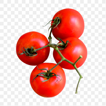 Red cherry tomatoes png vegetable | Free PNG - rawpixel Red cherry tomatoes png vegetable | Free PNG - rawpixel