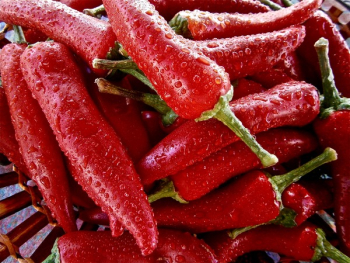 Red Chili Red Chili