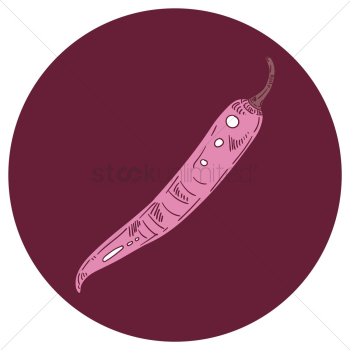 Red chili Red chili
