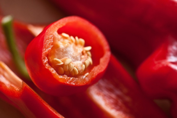 Red Chili Macro Photography Red Chili Macro Photography