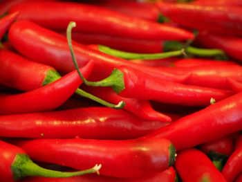 Red Chili Pepper Red Chili Pepper