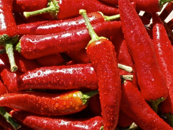 Red Chili Pepper Red Chili Pepper