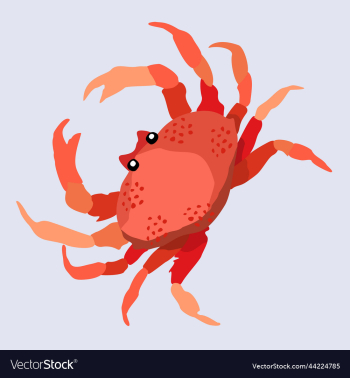 red crab exotic marine animal