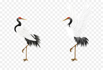 Red-crowned crane Jichang Garden Bird Budaya Tionghoa - Crane 