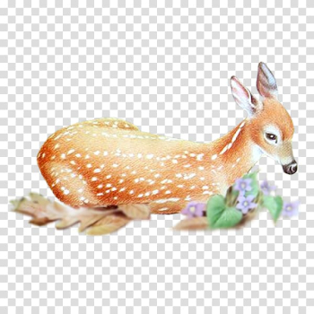 Red deer Roe deer Animal, deer transparent background PNG clipart Red deer Roe deer Animal, deer transparent background PNG clipart